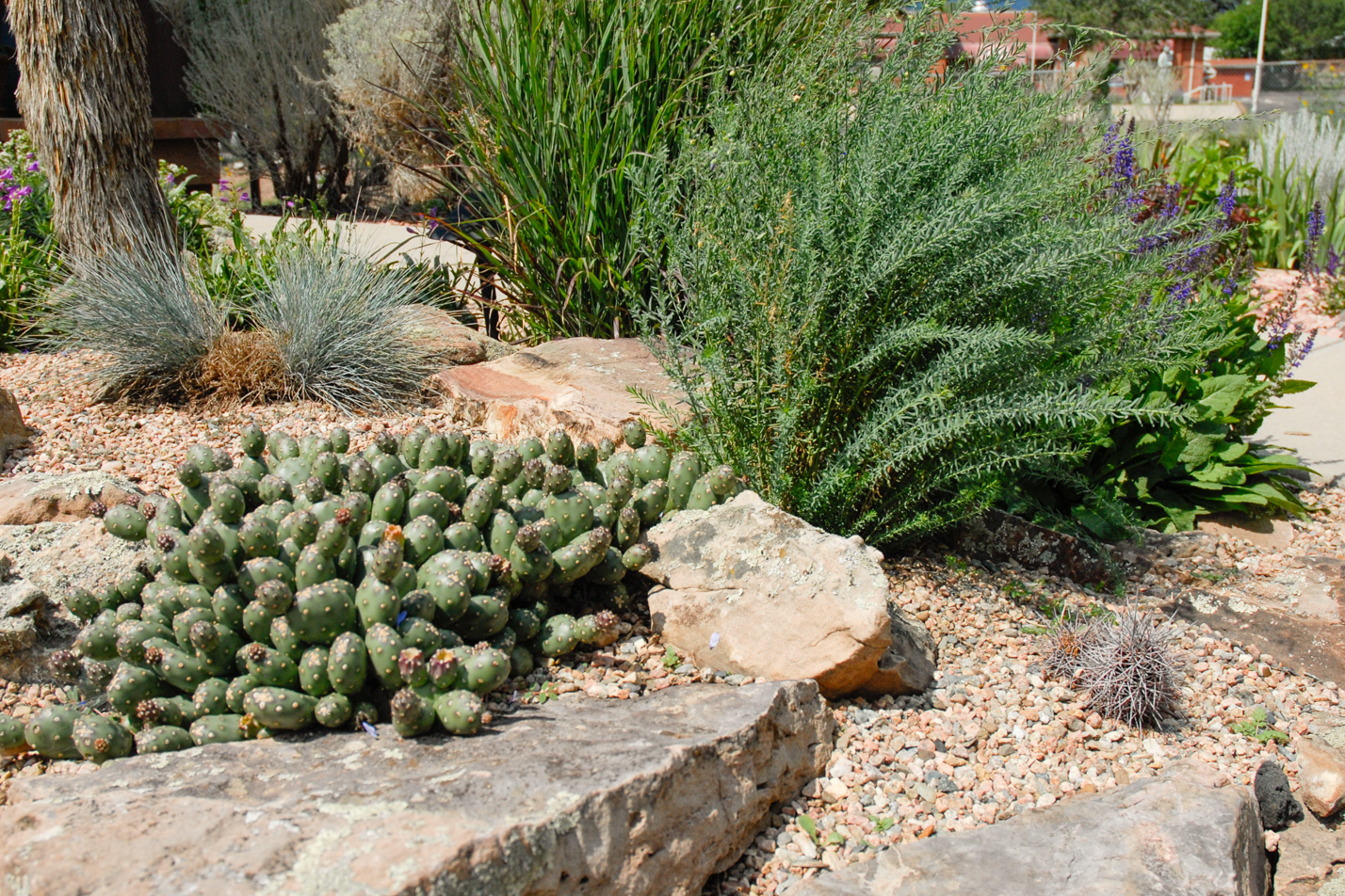 Townhome Rock Gardens